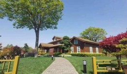 东丰物流爆料最新消息查询,揭秘行业动态与重大事件