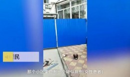 保定最新疫情爆料,多区域现新增病例，防控措施升级中